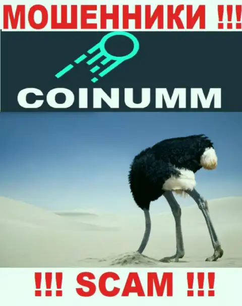 Компания Coinumm Com не имеет регулятора и лицензии на право осуществления деятельности