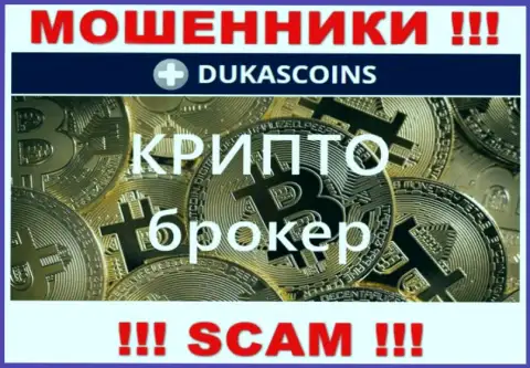 Вид деятельности лохотронщиков DukasCoin это Crypto trading, но помните это развод !!!
