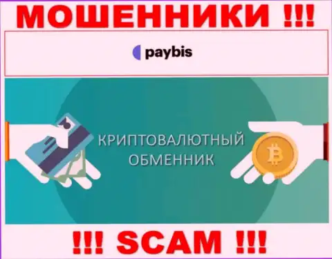 Crypto exchanger - это тип деятельности неправомерно действующей компании PayBis Com