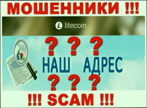 На онлайн-ресурсе LiteCoin ворюги не показали местоположение организации