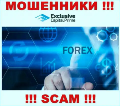 FOREX - это вид деятельности мошеннической компании ExclusiveCapital