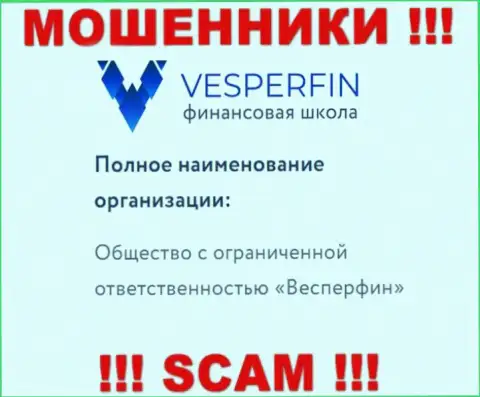 Инфа про юридическое лицо internet-разводил ВесперФин Ком - ООО Весперфин, не обезопасит вас от их лап