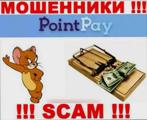 PointPay - это МОШЕННИКИ, не надо верить им, если станут предлагать разогнать депозит