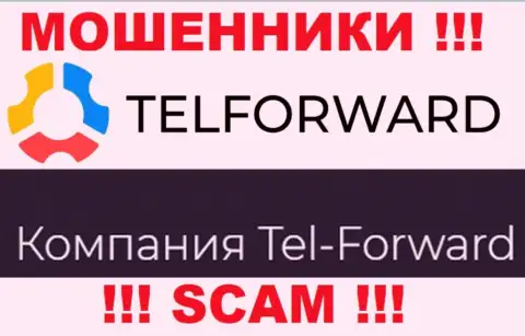 Юридическое лицо Tel-Forward - это Тел-Форвард, такую инфу оставили ворюги у себя на сайте