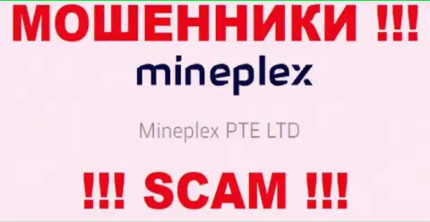 Руководителями МайнПлекс Ио является контора - Mineplex PTE LTD