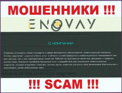 Так как деятельность интернет-мошенников EnoVay Info это обман, лучше будет совместного сотрудничества с ними избегать