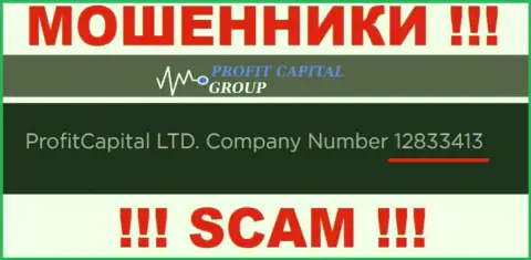 Рег. номер Profit Capital Group, который предоставлен мошенниками на их сайте: 12833413