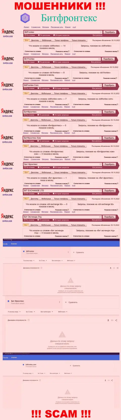 Число онлайн запросов по internet мошенникам BitFrontex
