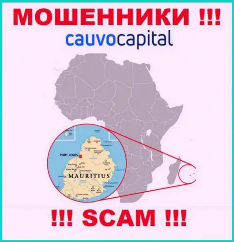Контора Cauvo Capital присваивает вложенные деньги доверчивых людей, зарегистрировавшись в офшорной зоне - Маврикий