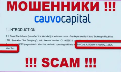 Нереально забрать назад финансовые активы у организации КаувоКапитал - они скрылись в оффшорной зоне по адресу: Коре, 62 Эбене Киберсити, 72201, Маврикий