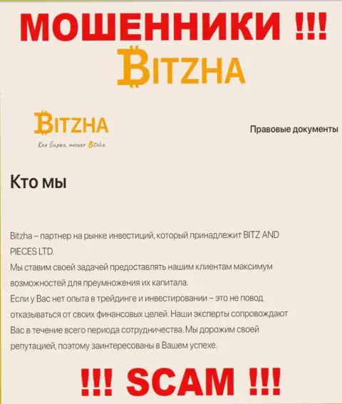 Bitzha24 Com это чистой воды интернет-воры, сфера деятельности которых - Инвестирование