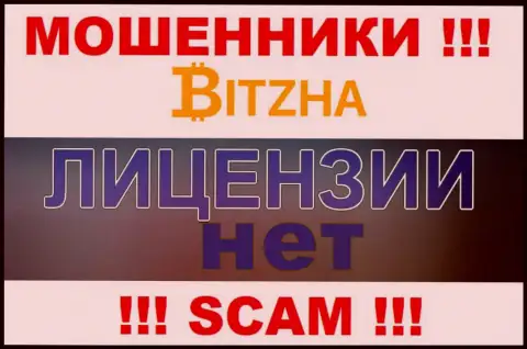 Обманщикам Bitzha24 не дали лицензию на осуществление деятельности - воруют финансовые средства