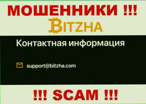 Электронная почта мошенников Битза, информация с официального сайта