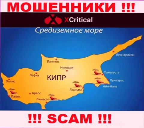 Кипр - вот здесь, в оффшорной зоне, пустили корни internet-кидалы ХКритикал