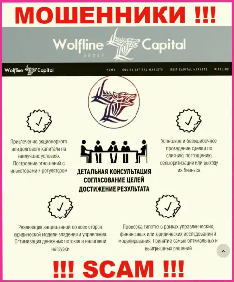 Не стоит верить, что область работы WolflineCapital - Финансовый консалтинг законна - это разводняк