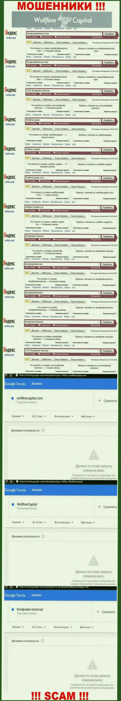 Статистические сведения о числе онлайн запросов информации о махинаторах Wolfline Capital