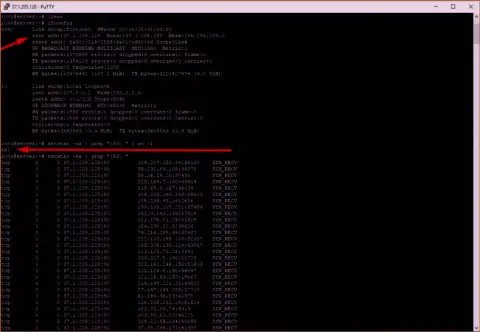 Подтверждение DDoS-атаки на MaxiMarkets.Pro