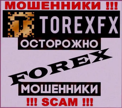 Вид деятельности ТорексФХ: Forex - хороший заработок для мошенников